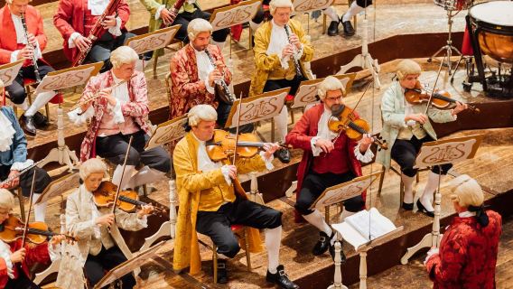 Schönbrunn Palace + St. Stephen's Cathedral + The Golden Hall + Burgtor day tour