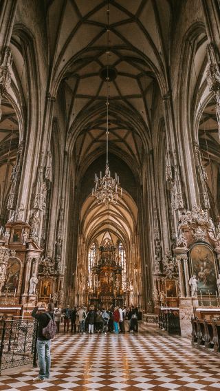 St. Stephen's Cathedral + Vienna Operahouse + Golden Hall + Danube River [Flexible Itinerary]