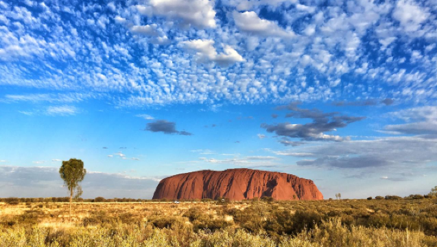 Lawatan Batu Uluru Semasa Matahari Terbit di Wilayah Utara [Jalan Kaki Ringan/Pemandu Pelancong Berbahasa Cina/Mencari Jejak Suci]