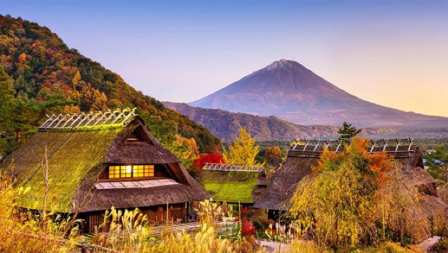 One-Day Tour of Mount Fuji: Arakurayama Sengen Park, Lake Kawaguchi & Gassho-style Village