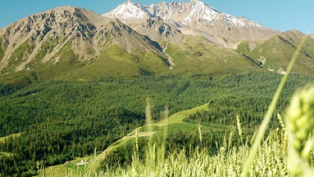 Lawatan Sehari ke Gunung Zhuor + Padang Rumput Qilian [Pemandangan Menenangkan + Berhenti-henti + Pilihan Musim Panas Lunbu]