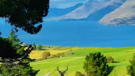 Lawatan sehari Queenstown Deer Park Heights + Gereja St Peter + Glenorchy di New Zealand/boleh disesuaikan