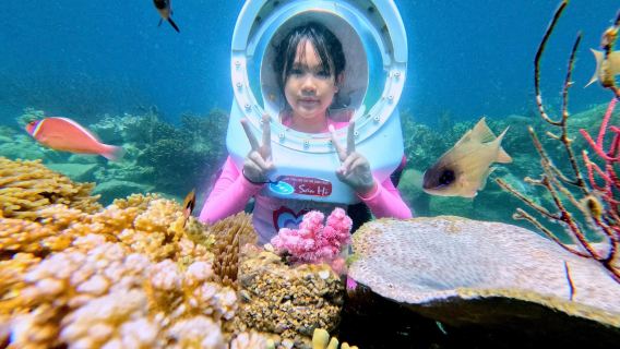 ญาจาง: กิจกรรมเดินทะเลและอ่าวปะการัง ทัวร์วัน โดยเรือสปีดโบต