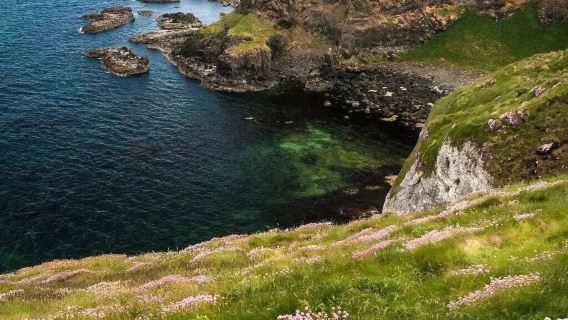 Lawatan Kampung Nelayan Pantai Dublin Ireland | Semenanjung Howth + Pantai Portmarnock (tiada tiket)