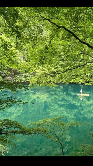 Japan Tokyo + Lake Okutama + Nippara Limestone Cave + Hatonomusu 1-day tour/customize