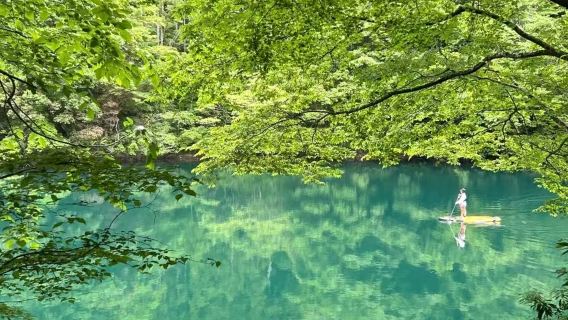 Perjalanan satu hari Tokyo + Danau Okutama + Gua Hihara + Sarang Burung Dara / bisa disesuaikan