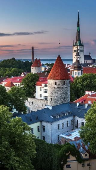 Custom trip to Tallinn in Estonia: Japanese garden + Birgitta Convent Ruins + KGB Prison Cells ※