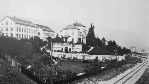 Passeio de Áudio em Horgen: Ecos do Patrimônio dos Moinhos às Maravilhas à Beira d'Água