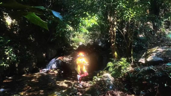 Lawatan sehari berjalan kaki di hutan hujan tropika Mangshi