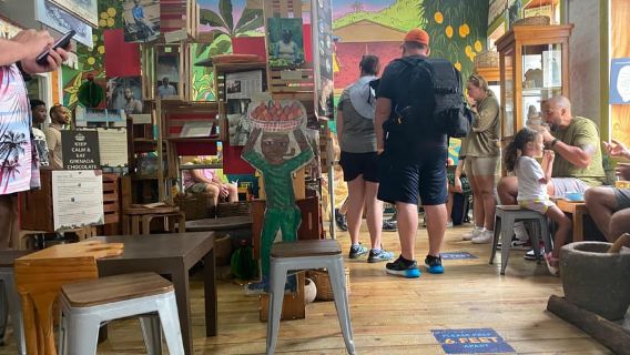 Grenada: Blue Tea & Cocoa Creations Tour