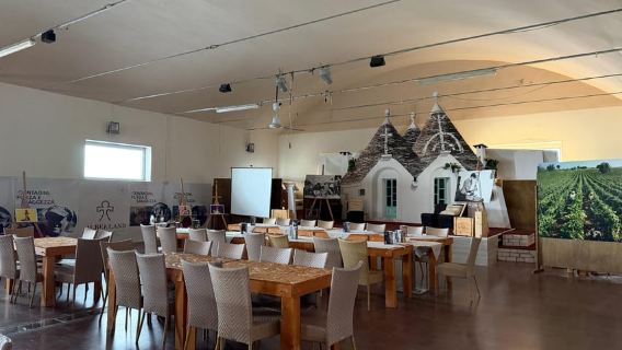 Alberobello: Wine Experience with a visit to the Winery and Wine Museum
