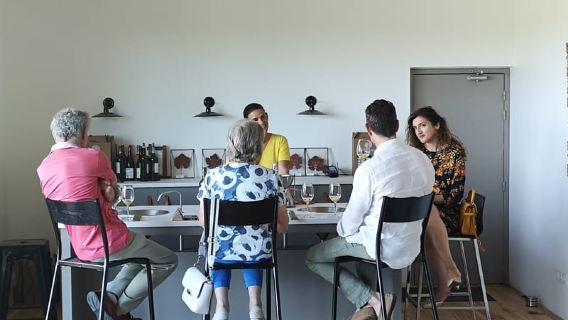 From Bordeaux: Bordeaux wine tour off the beaten path