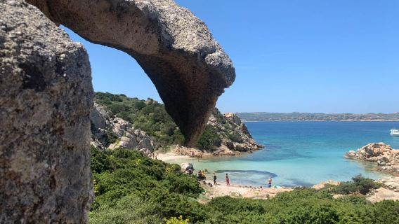 From Cannigione or Baja Sardinia: RIB tour to La Maddalena