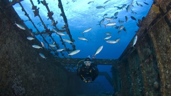 Scuba Diving in Hikkaduwa