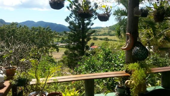Antiguan experience home tour with local guide with lunch