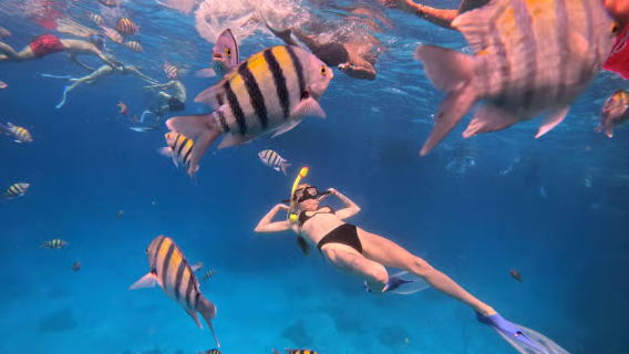Ägypten Hurghada Bootsfahrt zur Orange Bay + Schnorcheln im Roten Meer inklusive Frühstück + Mittagessen + Getränke