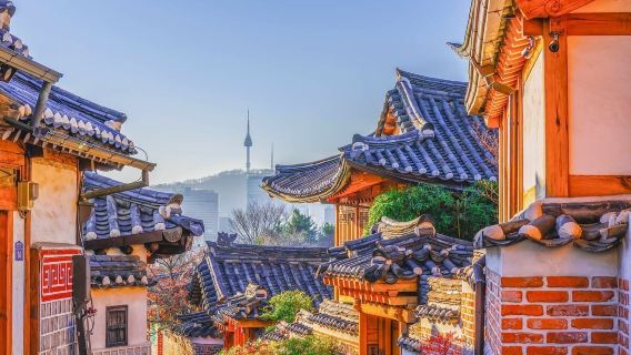 首爾一日遊（含門票）景福宮+青瓦台+北村韓屋+南山公園首爾塔