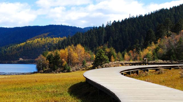 虎跳峽+香格里拉一日遊【經幡+不推騎馬+環納帕海+回程高速】