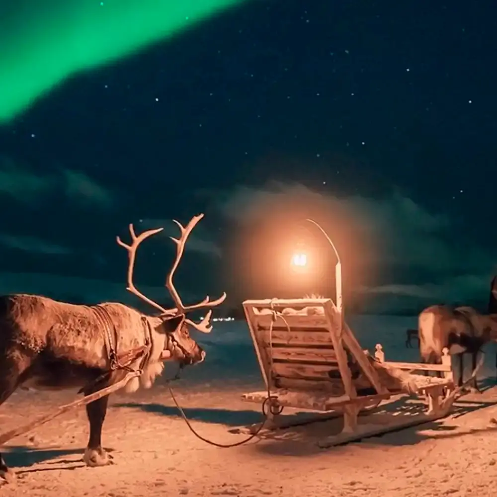ノルウェー・トロムソのトナカイそり乗車とサーミ文化体験、オーロラ