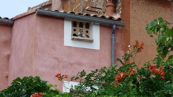 AvignonTours