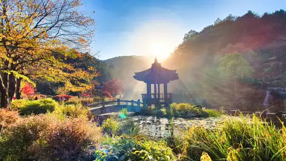 韓國春川市一日遊