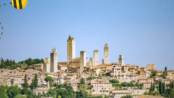 Sienne et San Gimignano : excursion d'une journée au départ de Florence + dégustation de mets et de vins