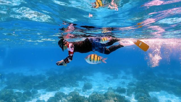 Jednodniowa wycieczka na wyspy Koh Rok i Koh Ha | Wyspy i snorkeling | Możliwość wyjazdu z Phuket, Krabi lub Koh Lanta