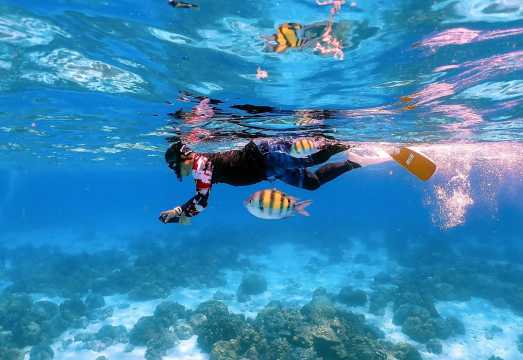 Thailand Ko Rok + Ko Haa 1-day tour|Island hopping + snorkeling|Optional departure from Phuket, Krabi, or Lanta