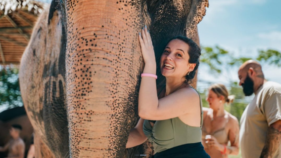 【布吉】泰萌大象保護營Phuket Elephant Care Sanctuary （原PEC）