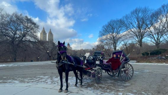 Official VIP Entire Central Park Horse Carriage Tour
