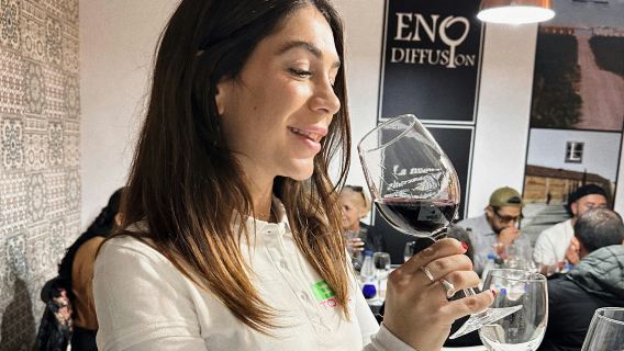 Toledo: Guided City Tour + Transfer from Madrid + Wine & Tapas Tasting