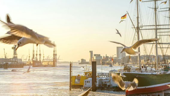 HamburgTravel Services