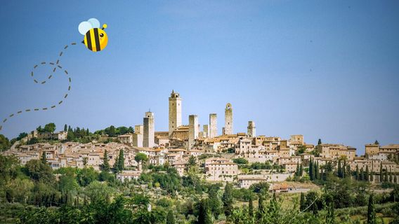 Florence