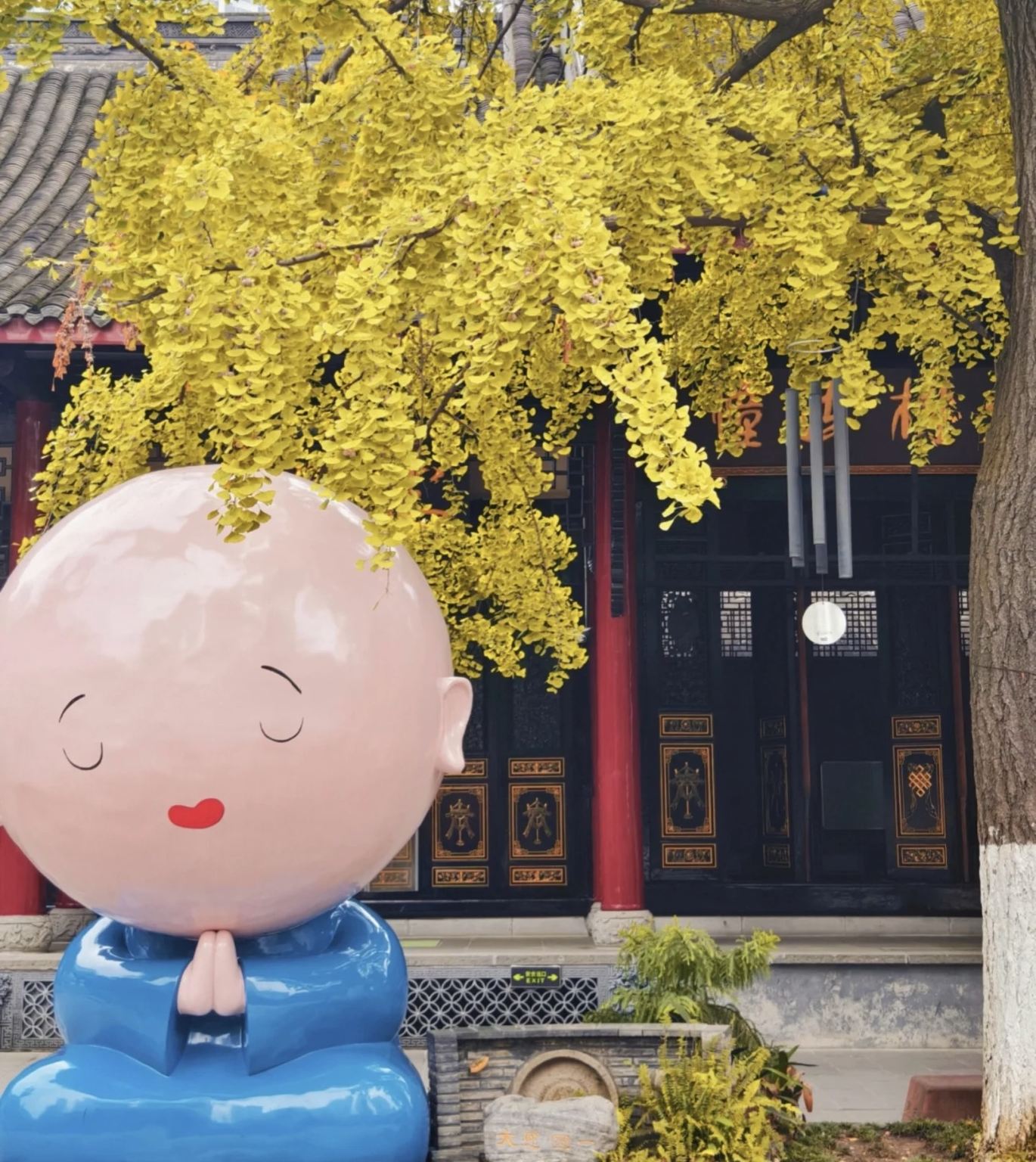 Tour di mezza giornata a Daci Temple, Taikoo Li e Chunxi Road Citywalk con guida accompagnatrice