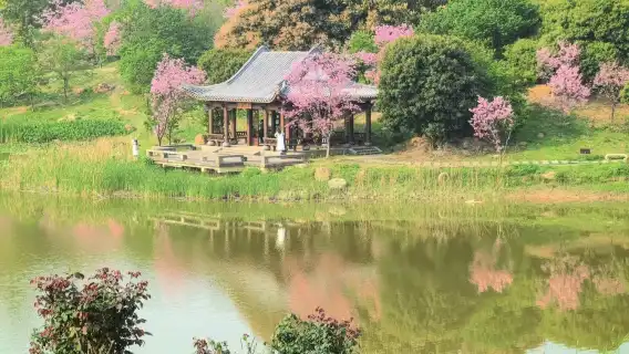 廣西南寧|民族博物館+南寧園博園+青秀山風景區