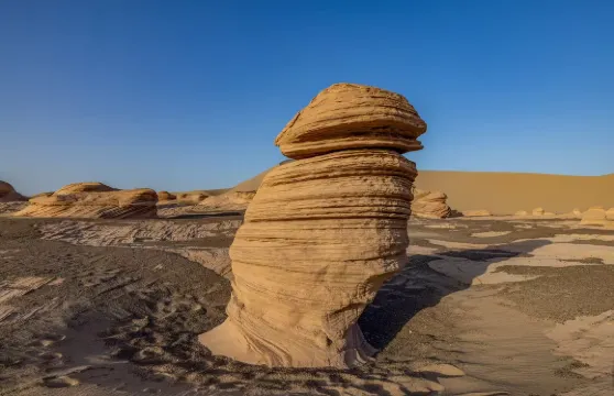 【穿越大海道一日遊丨穿越胡楊林、小雅丹大海道核心區】硬派越野