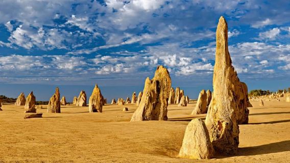 Perth: Pinnacles and Swan Valley Wine Day Tour with Lunch