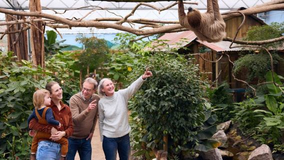 Overloon: ZooParc Entrance Ticket