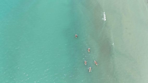 Aventura en kayak desde Vlorë: del río Vjosa al mar Adriático