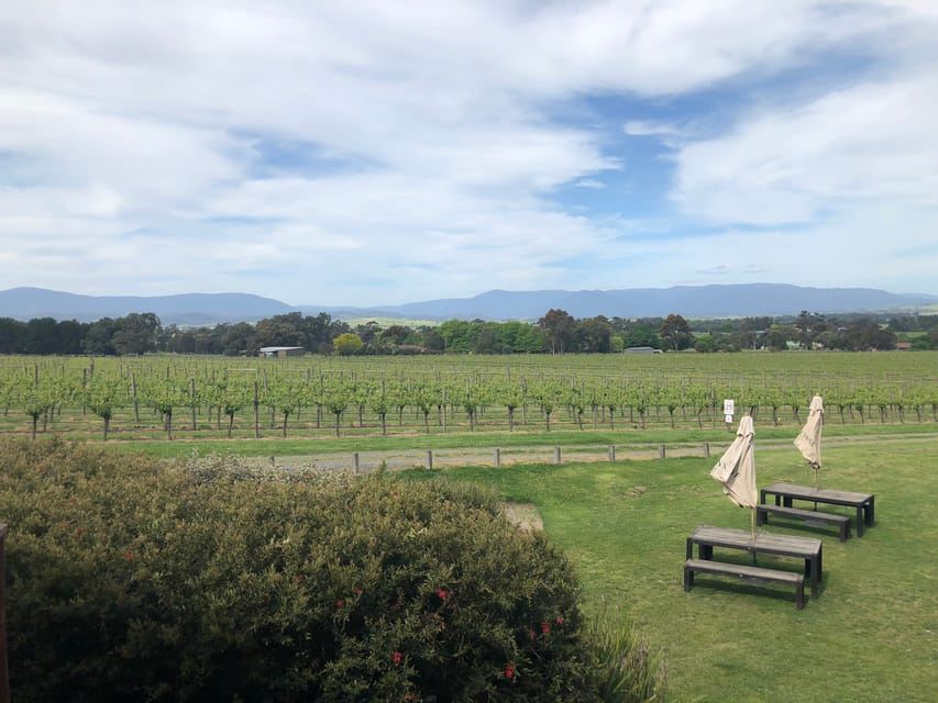 ทัวร์รถบัส Mornington Peninsula Winery พร้อมอาหารกลางวันและไวน์