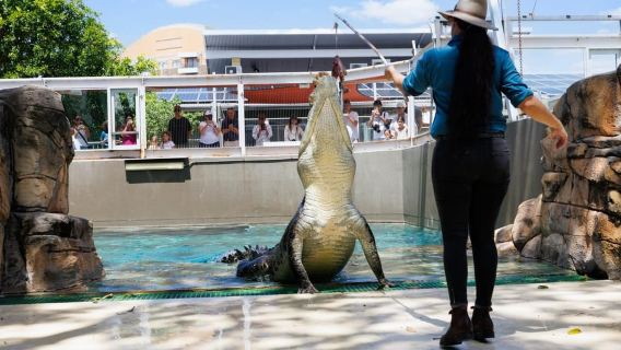Darwin: ingresso a Crocosaurus Cove e tour in autobus hop-on-hop-off