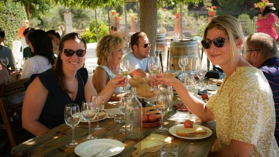 Từ Barcelona: Tour tham quan nhà máy rượu vang bằng thuyền buồm và xe đạp điện kèm nếm thử