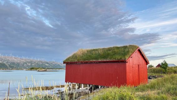 Lawatan jalan raya Artik - lawatan sehari.