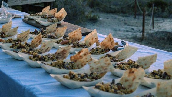 Castelsardo: visit a vineyard with wine tasting at sunset