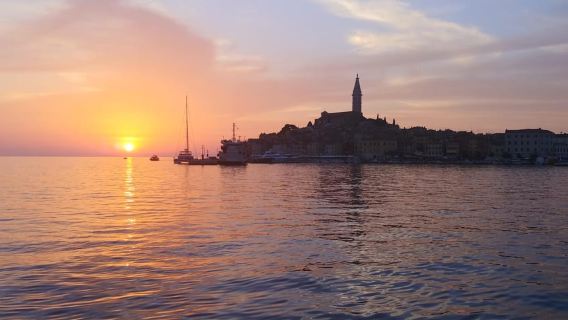 Rovinj : excursion en hors-bord au coucher du soleil avec observation des dauphins