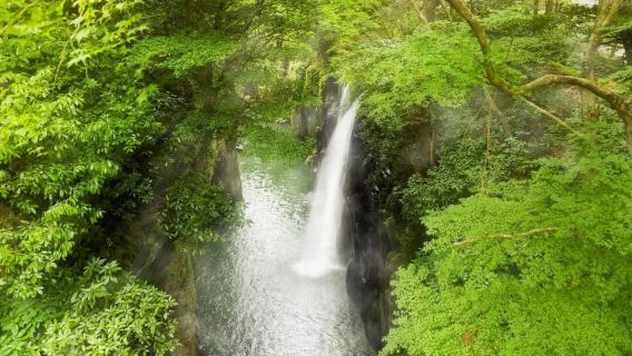Fukuoka: Takachiho Gorge and Shrine Private Day Trip