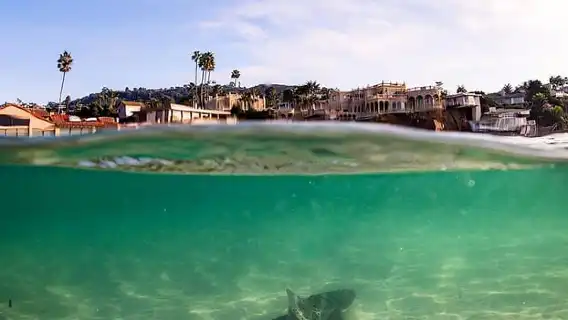 La Jolla: Full-Day Snorkel Gear Rental with Wetsuit Option