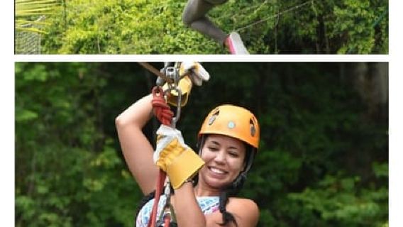 St. John's; Six Zips „Seilrutschen-Erlebnis“