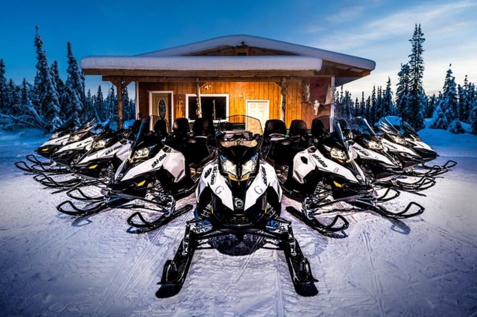 Polo Nord Alaska: tour guidato in motoslitta a Fairbanks