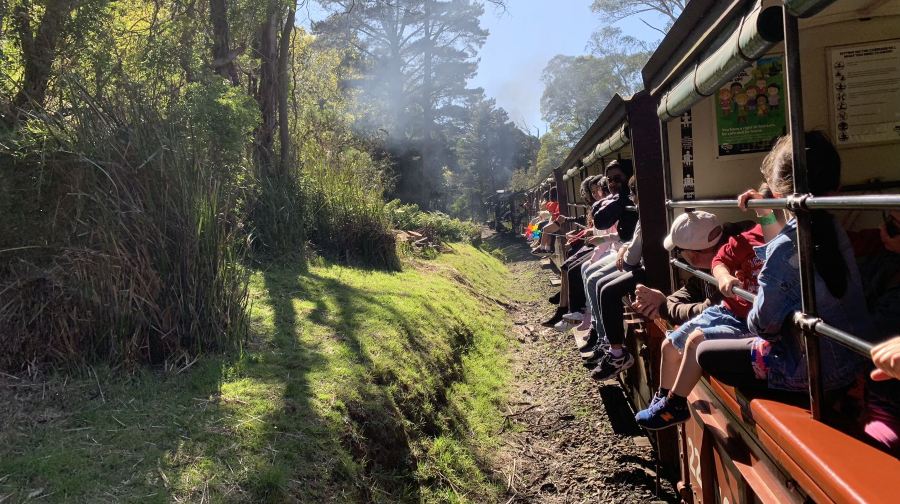 墨爾本普芬比利蒸汽火車＋菲利普島：蒸汽小火車和小企鵝探索之旅